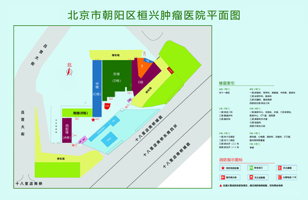 操逼操逼操逼操b北京市朝阳区桓兴肿瘤医院平面图